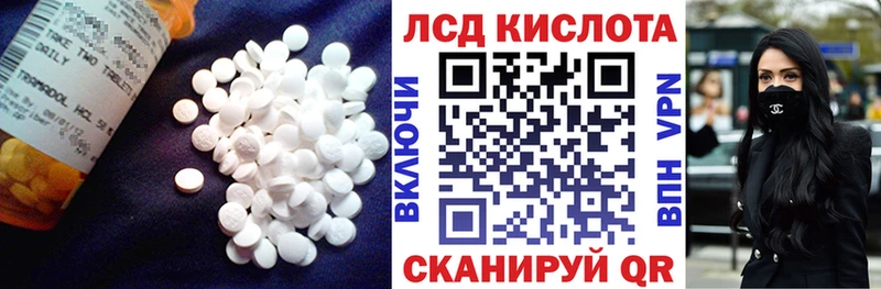 Купить закладки  Пошехонье  LSD-25 экстази ecstasy 