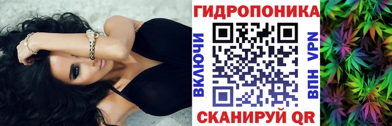 МАРИХУАНА план  Купить закладки  Пошехонье 